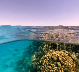 Schnorcheln Soma Bay