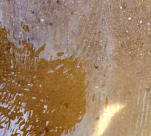 Sandstrand Hundebereich