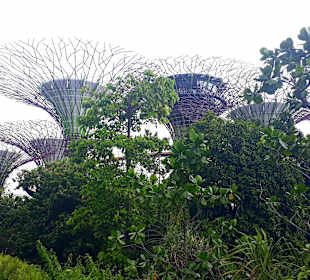 Gardens by the Bay
