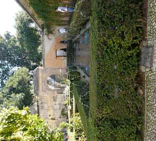 Dettaglio del giardino