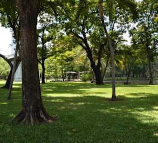 Lumphini Park