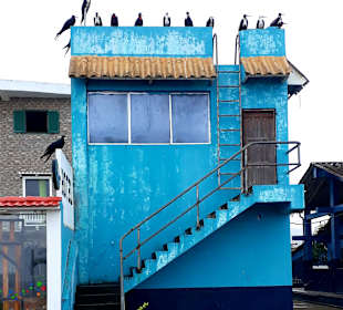 Rundgang Puerto Lopez