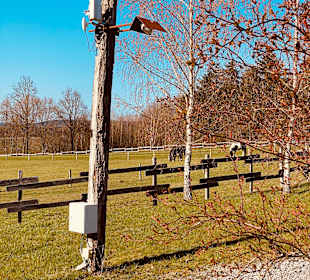 Wandern Schmallenberg