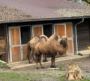 Tiergarten Straubing