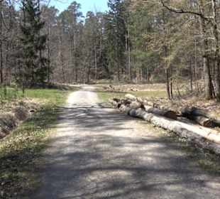 Waldkulturerbe Neuweiler Viehweide