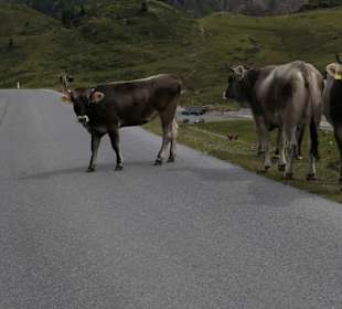 Kaunertaler Gletscherstrasse