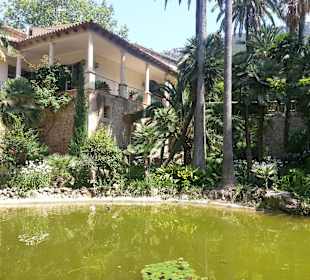 Teich am Schloss