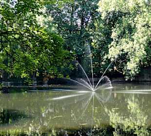 Schwänchenteich im Cheltenham-Park