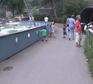 Vogelfreifluggelände