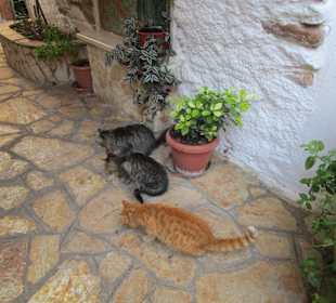  Kloster Paleokastritsa