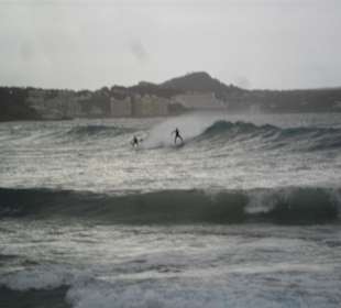 Wind! Zur Freude für die Surfer