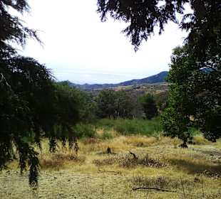 Ausblick vom Cruz de Tejeda 