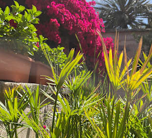 Altstadt Palma de Mallorca