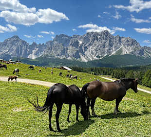 Wandern Sesto / Sexten