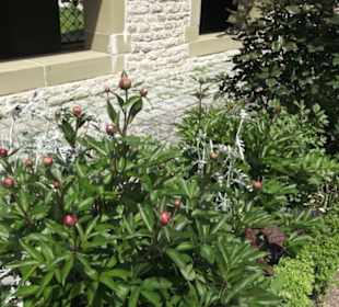 Kloster Großcomburg