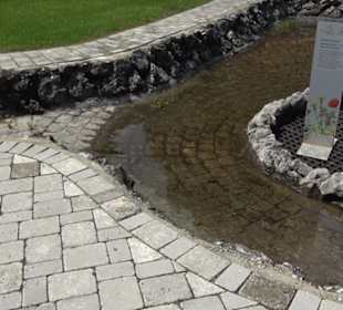 Blühendes Neresheim 2021