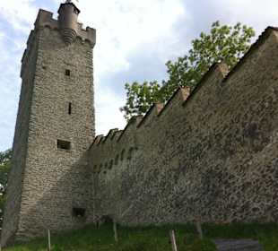 Una torre e le mura protettive