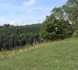 Burgruine Niederhaus