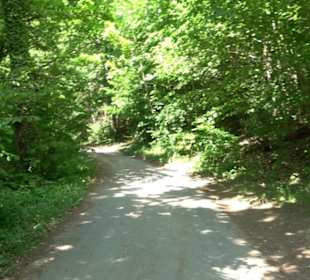 Römische Wasserleitung Obernau