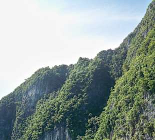Schnorchelausflug zur Inselgruppe Koh Phi Phi