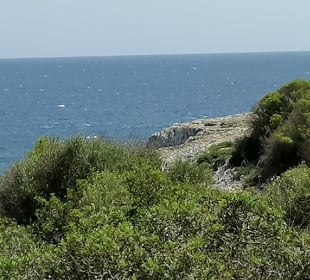 Aussicht Drachenhöhle 