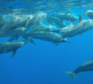 Alle Bilder an einem Tag!