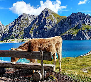 Wandern St. Gallenkirch