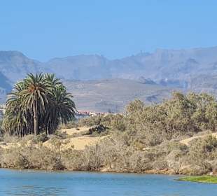 Naturschutzgebiet La Charca