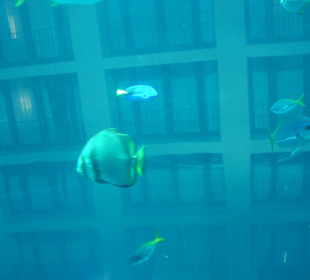 Aquadome - Hintergrund das Hotel Radisson
