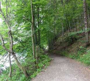 Alatsee Rundweg
