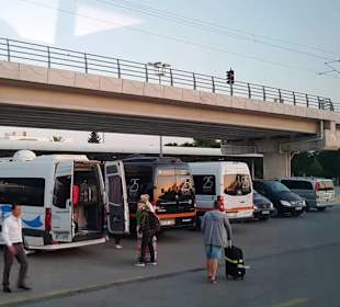 Die Busse