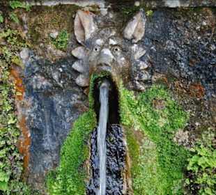 Brunnen
