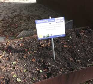 Kneipp`scher Sinnesgarten