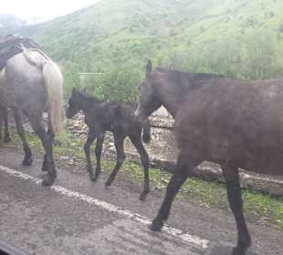 Gruzińska Droga Wojenna