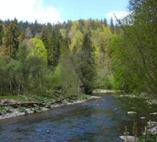 Abwechslungsreiche Landschaft