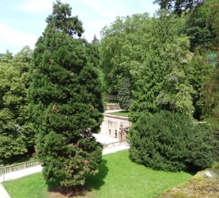 Schlossgarten