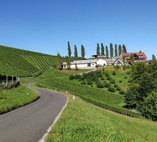 Weinhof Tschermonegg in Sicht