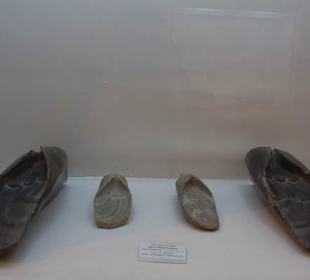 Eksponat w muzeum w Persepolis