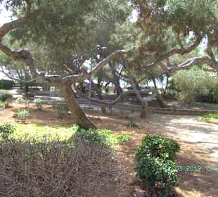 Wandern Playa de Palma 