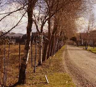 Der Weg zur Molkerei Dos Alamos