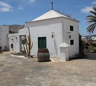 Museo Agricola el Patio