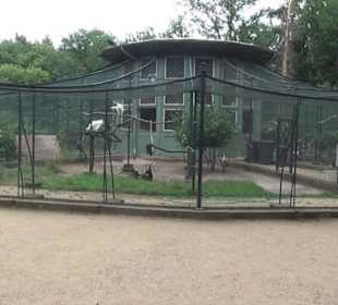 Voliére auf der Pfaueninsel