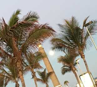 Wandern Maspalomas