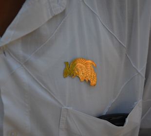 Reiseführer-Abzeichen von Otto