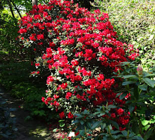 Eindrücke vom Rundgang durch den Berggarten