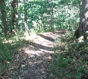 Tour entlang der Traifelbergfelsen
