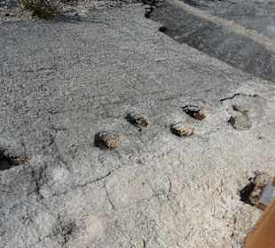 Blick von der Aussichtsplattform 