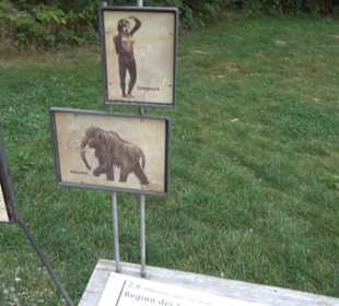 Dinosaurier Museum Altmühltal