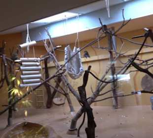 Tierpark Hellabrunn - Welt der Affen