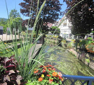 Niederbronn les Bains